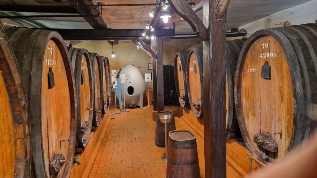 Wijn vaten in de Elzas